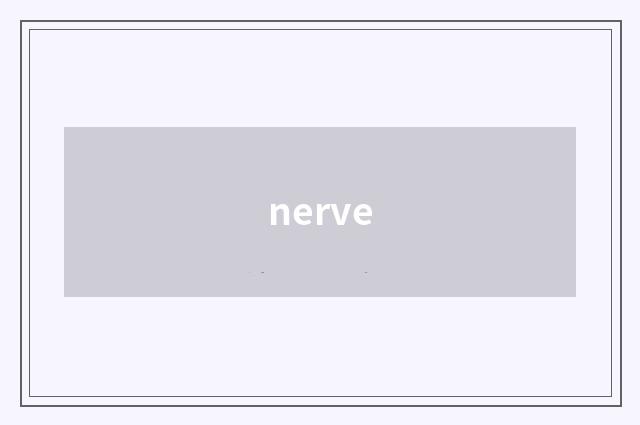 nerve