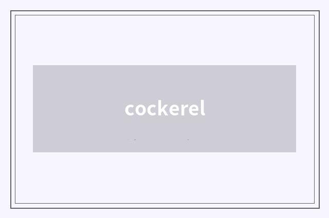 cockerel