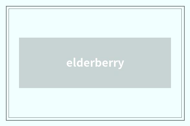 elderberry