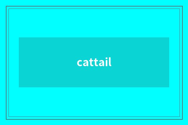 cattail