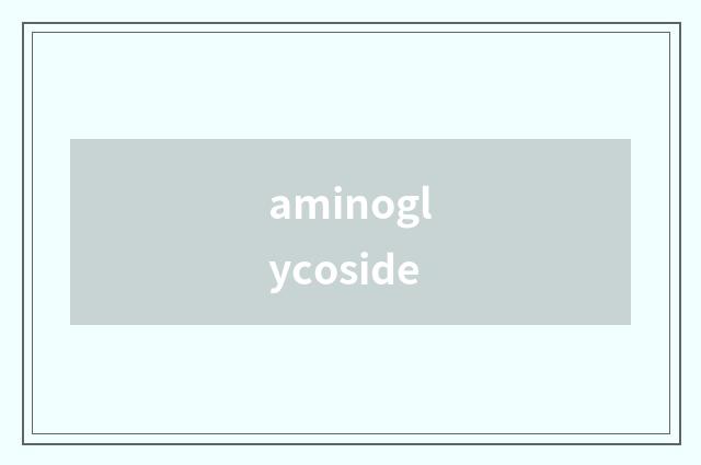 aminoglycoside