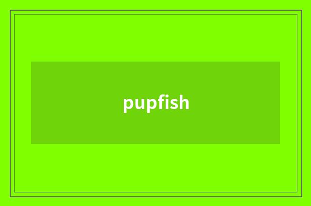 pupfish