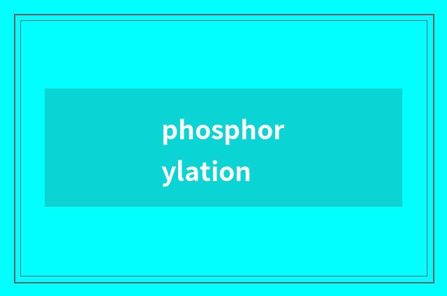 phosphorylation