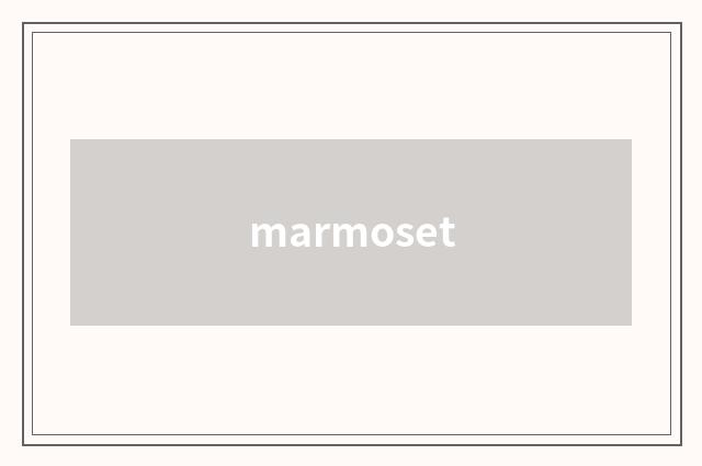 marmoset