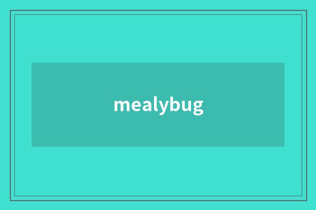 mealybug