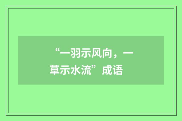 “一羽示风向，一草示水流”成语