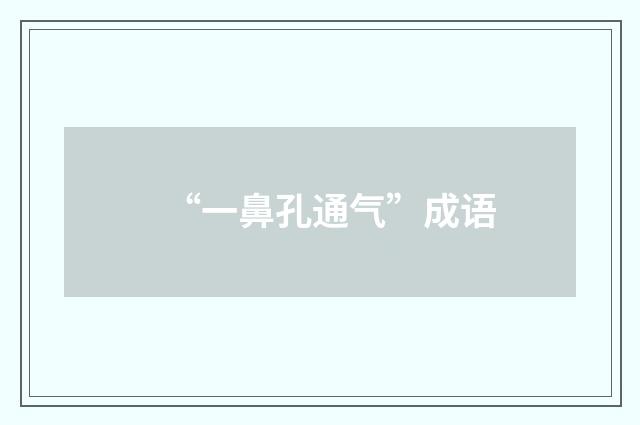 “一鼻孔通气”成语