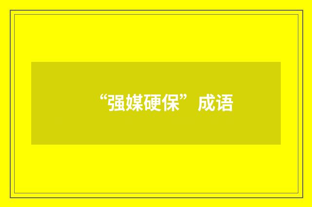 “强媒硬保”成语