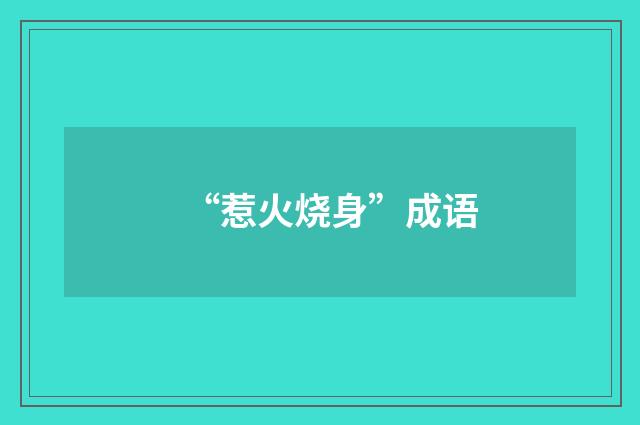 “惹火烧身”成语