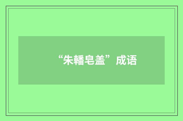 “朱轓皂盖”成语