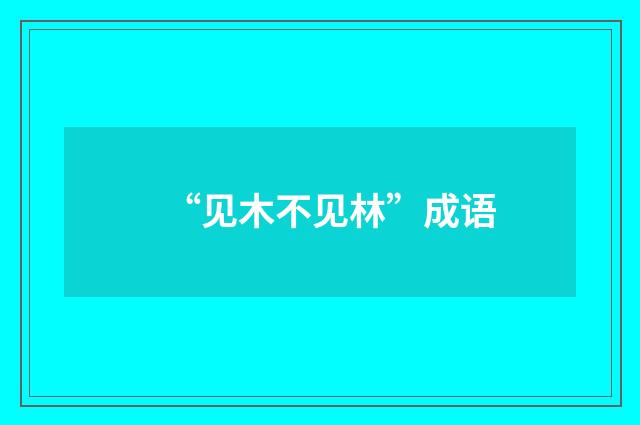“见木不见林”成语
