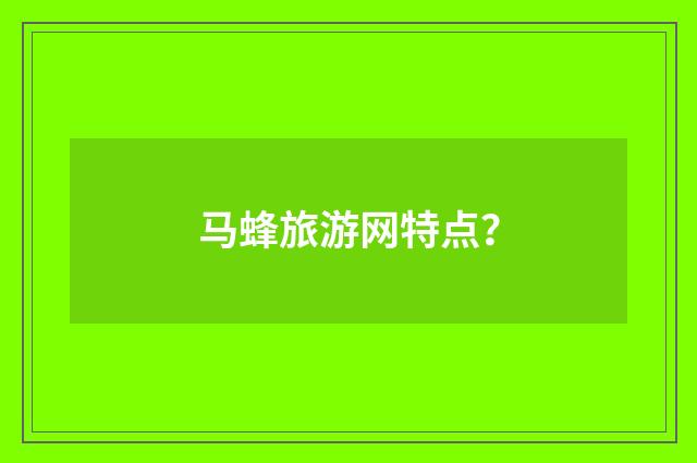 马蜂旅游网特点?