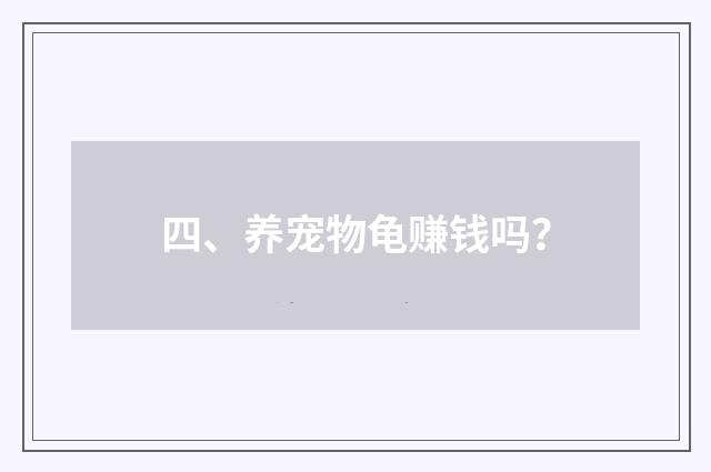 四、养宠物龟赚钱吗？