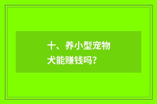 十、养小型宠物犬能赚钱吗?