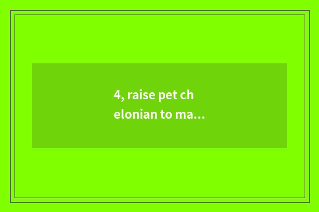 4, raise pet chelonian to make money?