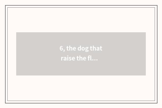 6, the dog that raise the flesh makes money or raise pet dog to make money?