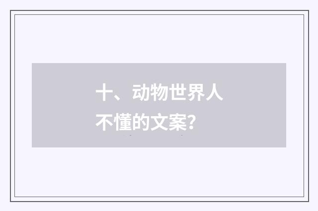 十、动物世界人不懂的文案？