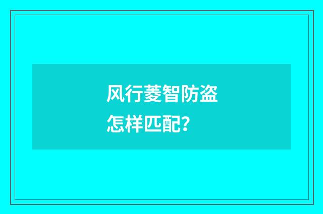 风行菱智防盗怎样匹配？