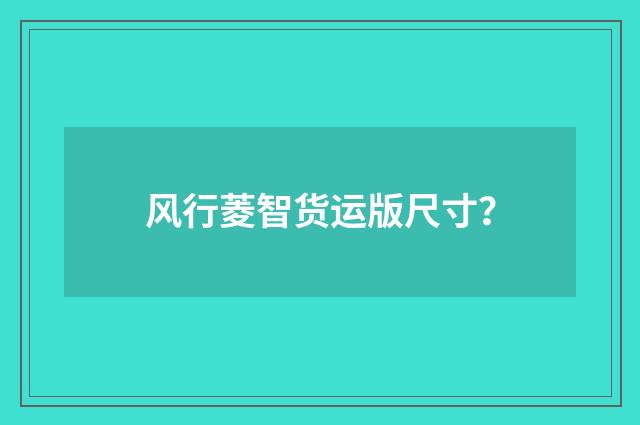 风行菱智货运版尺寸?