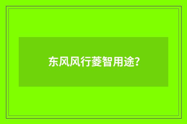 东风风行菱智用途?