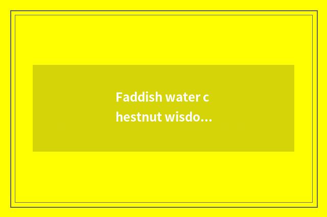 Faddish water chestnut wisdom 1.6 oily bad news how?