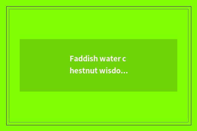 Faddish water chestnut wisdom freight edition dimension?