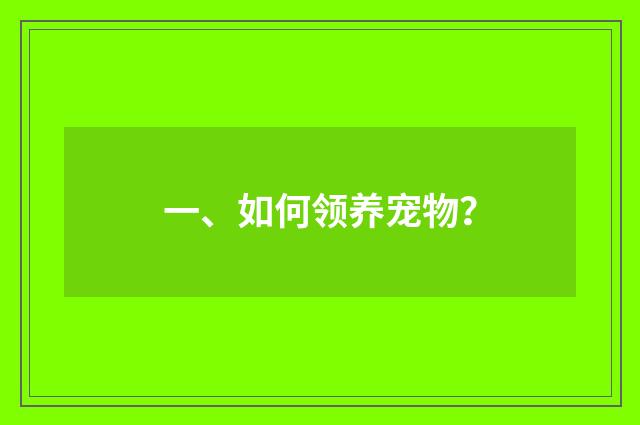 一、如何领养宠物?