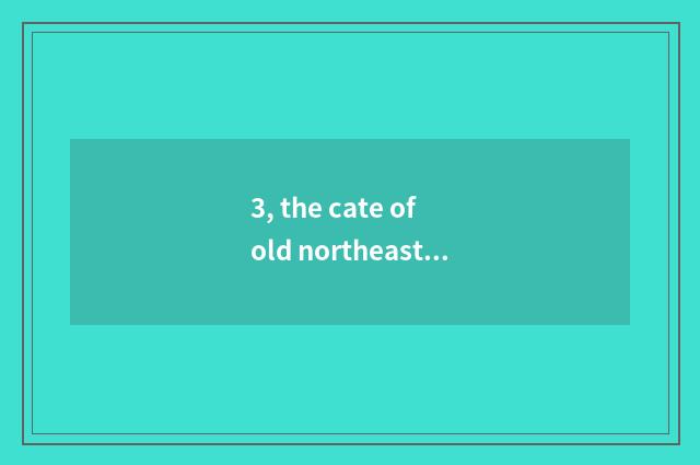 3, the cate of old northeast?