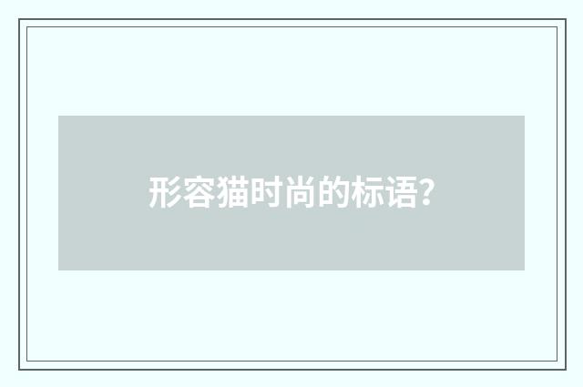 形容猫时尚的标语?