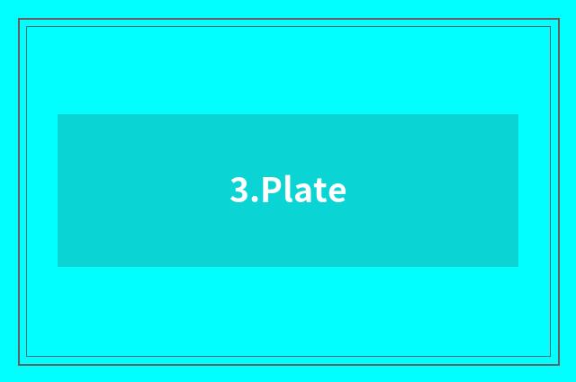 3.Plate