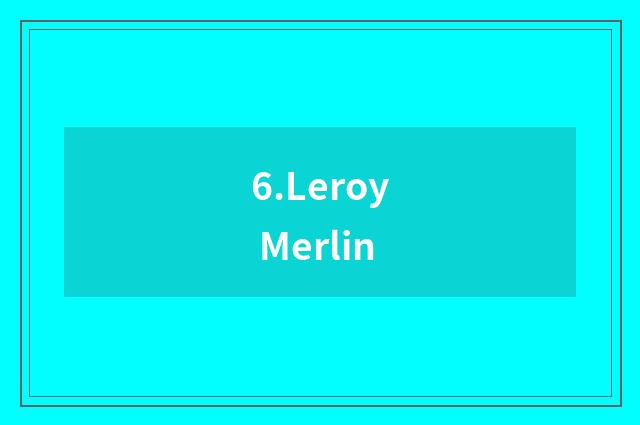 6.Leroy Merlin