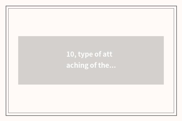 10, type of attaching of the children before learning?