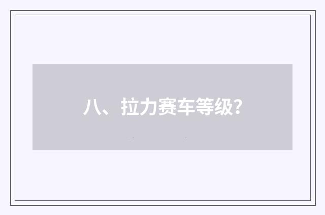 八、拉力赛车等级？