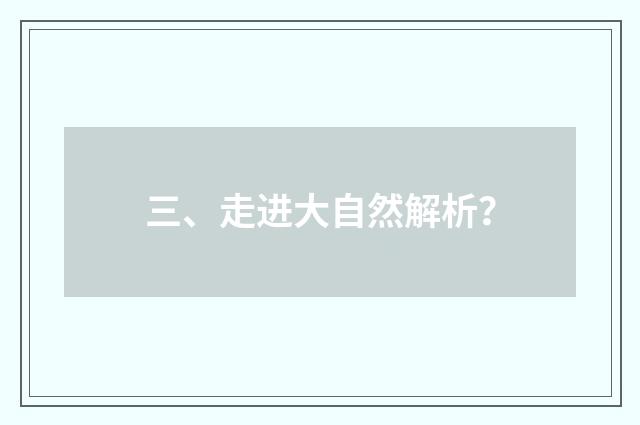 三、走进大自然解析?