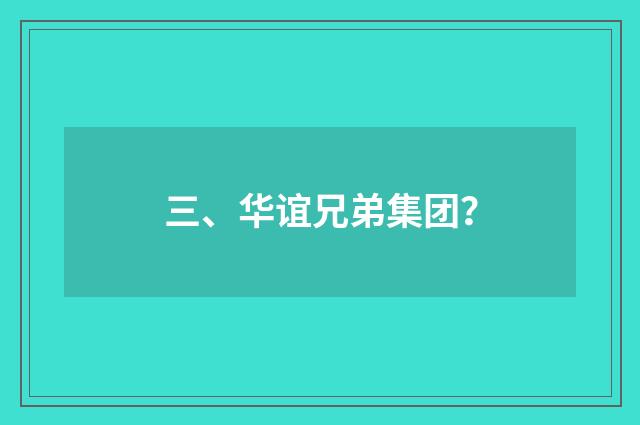 三、华谊兄弟集团?