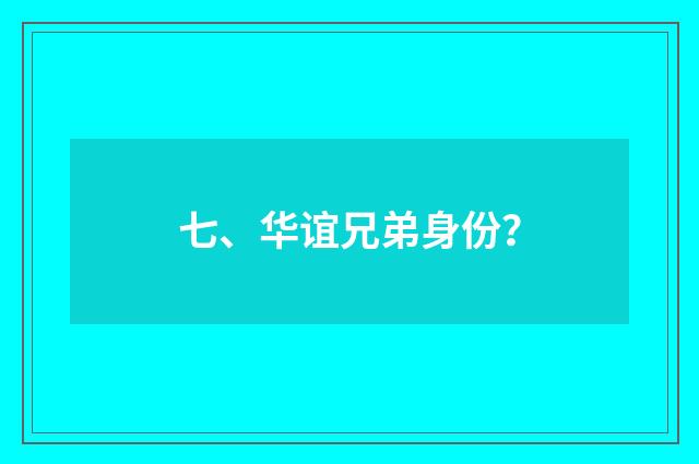 七、华谊兄弟身份?