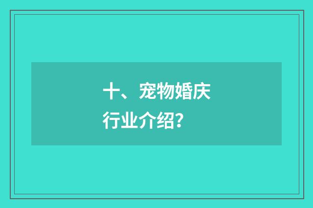 十、宠物婚庆行业介绍?