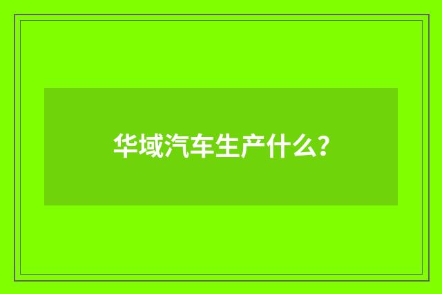 华域汽车生产什么?