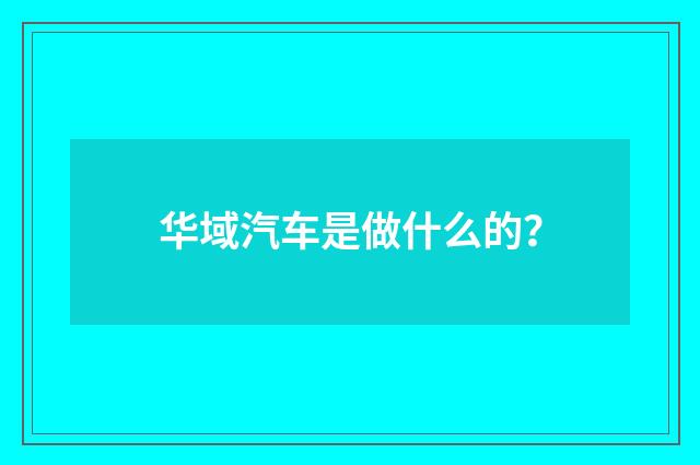 华域汽车是做什么的?