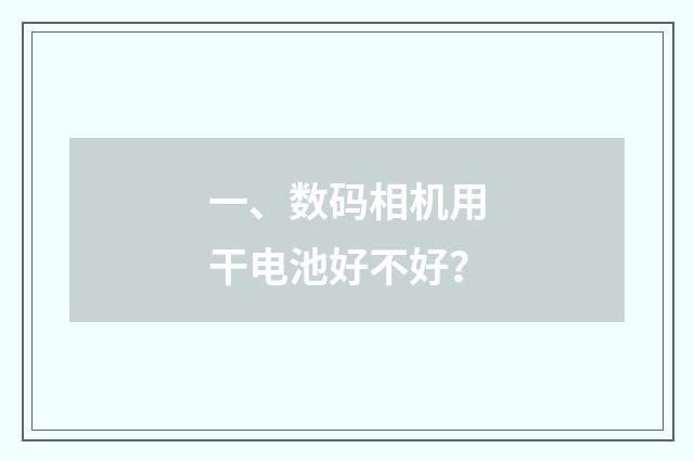一、数码相机用干电池好不好?
