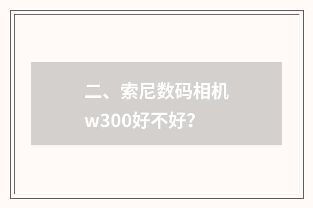 二、索尼数码相机w300好不好?