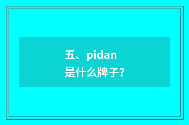 五、pidan是什么牌子？