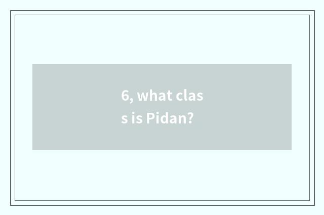 6, what class is Pidan?