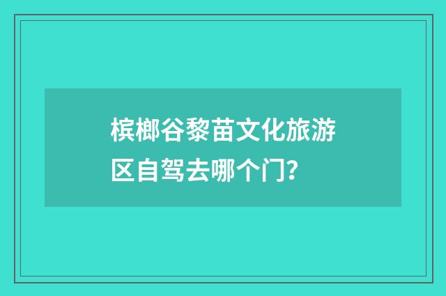槟榔谷黎苗文化旅游区自驾去哪个门？