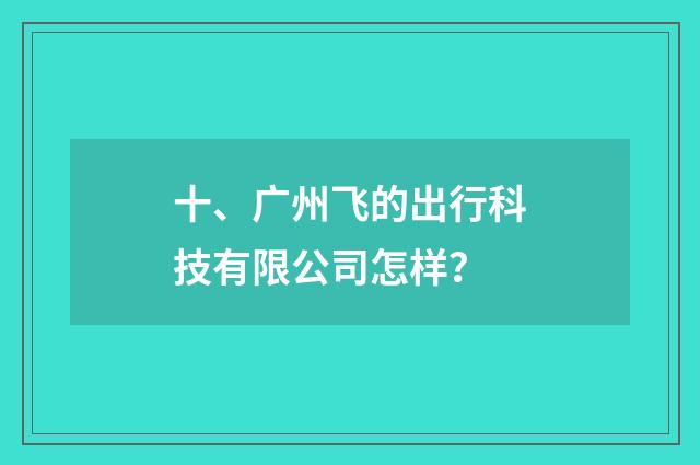 十、广州飞的出行科技有限公司怎样？