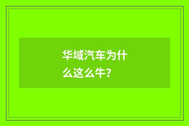 华域汽车为什么这么牛?
