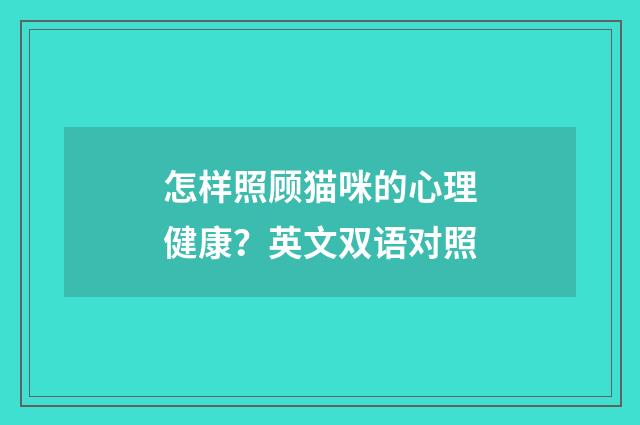 怎样照顾猫咪的心理健康？英文双语对照