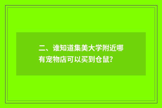二、谁知道集美大学附近哪有宠物店可以买到仓鼠?