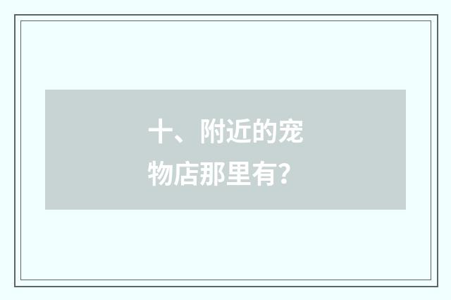 十、附近的宠物店那里有?