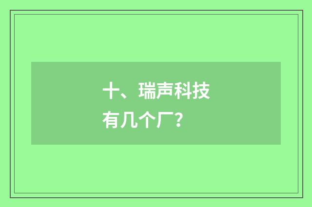 十、瑞声科技有几个厂？